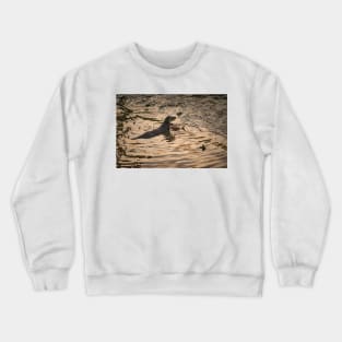 River Otter Crewneck Sweatshirt